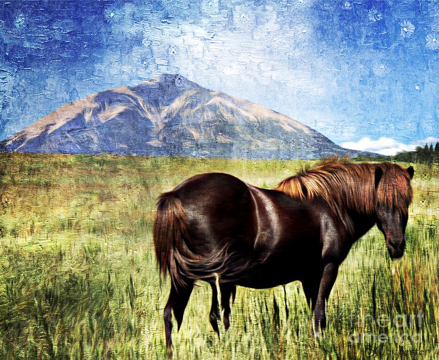 900x737 Icelandic Horse Painting By Barbara Chichester - Icelandic Horse Painting