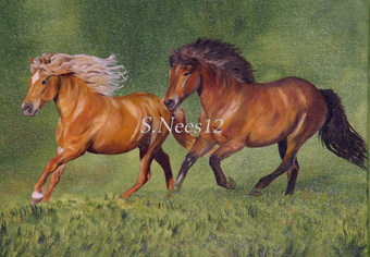 340x236 Ink And Brush Creations New Two Icelandic Horse Painting Wip 5 - Icelandic Horse Painting