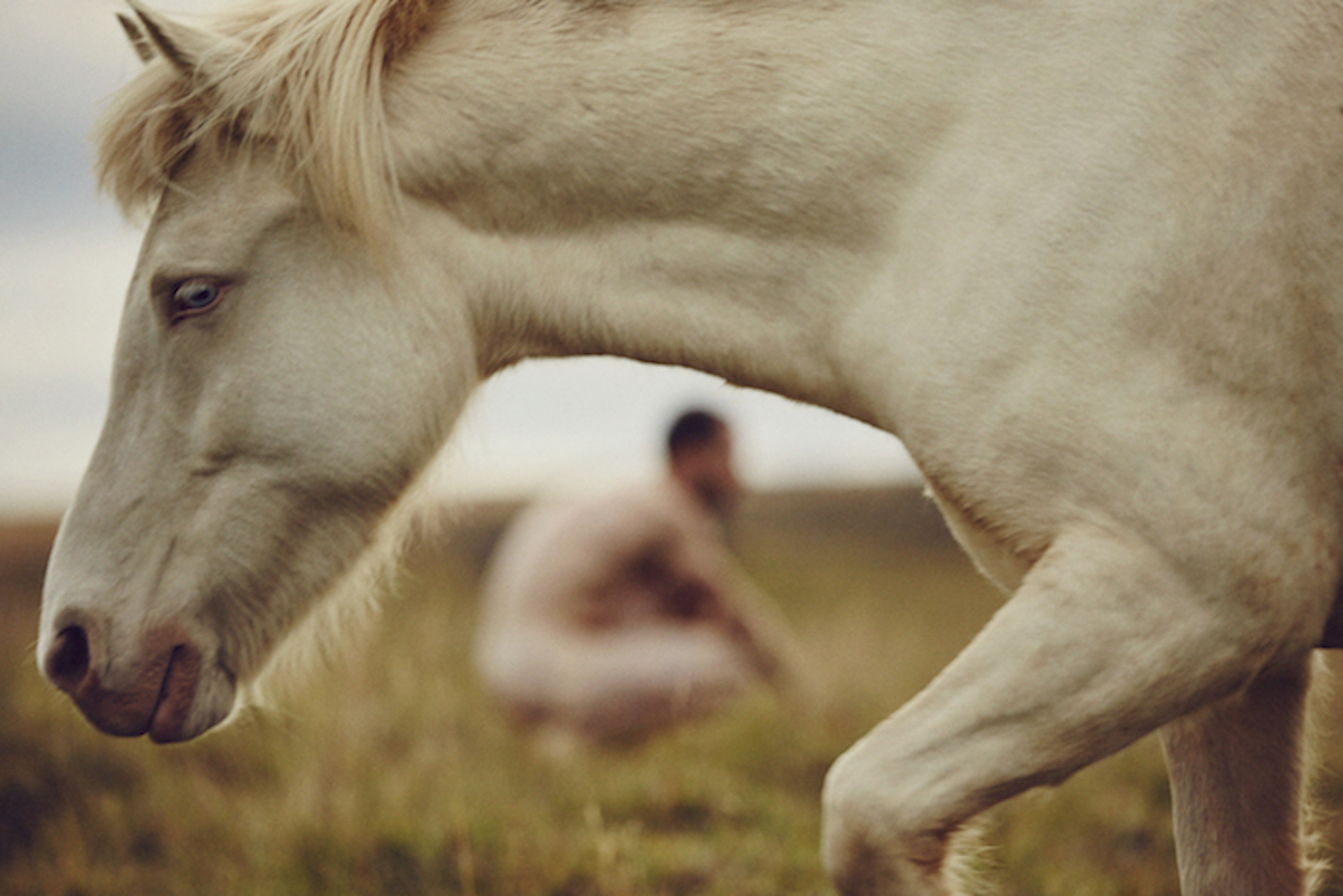 Тернер лошадь. Running Horse with man. Мариес Тернер лошадь белая на желтом.