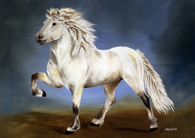 650x460 Nobility ~ Icelandic Horse By Shari Nees - Icelandic Horse Painting