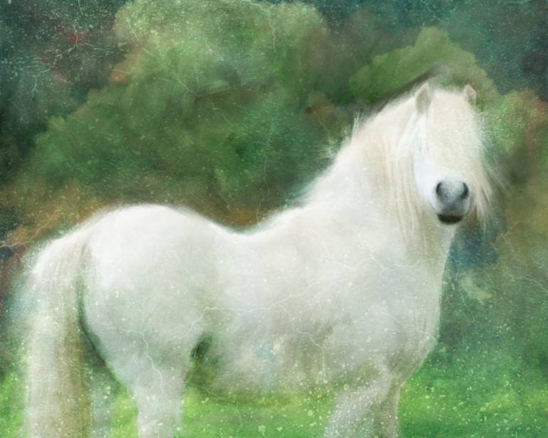 770x616 Saatchi Art The White Viking Icelandic Horse Painting By Katrina - Icelandic Horse Painting