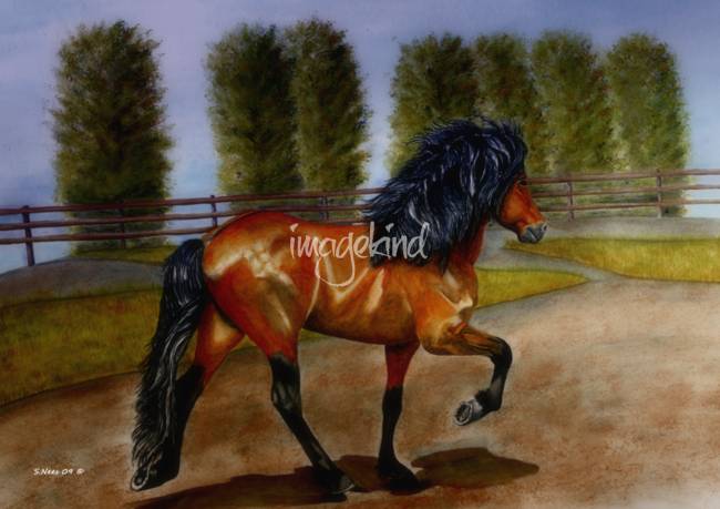 650x459 Stunning Icelandic Horse Painting Reproductions For Sale On Fine - Icelandic Horse Painting