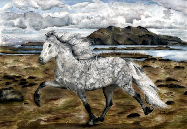 650x447 Charismatic ~ Icelandic Horse By Shari Nees - Icelandic Horse Painting