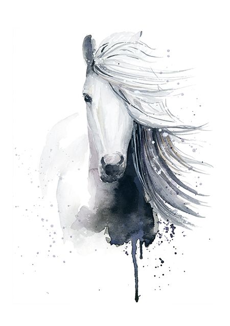 450x636 Horse Painting In Watercolor By Cora Illustration. Wild, Free - Icelandic Horse Painting
