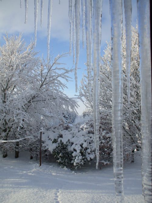 500x667 Icicles Nature's Decoration Icicles Photo Shop Coulddd - Icicle Painting