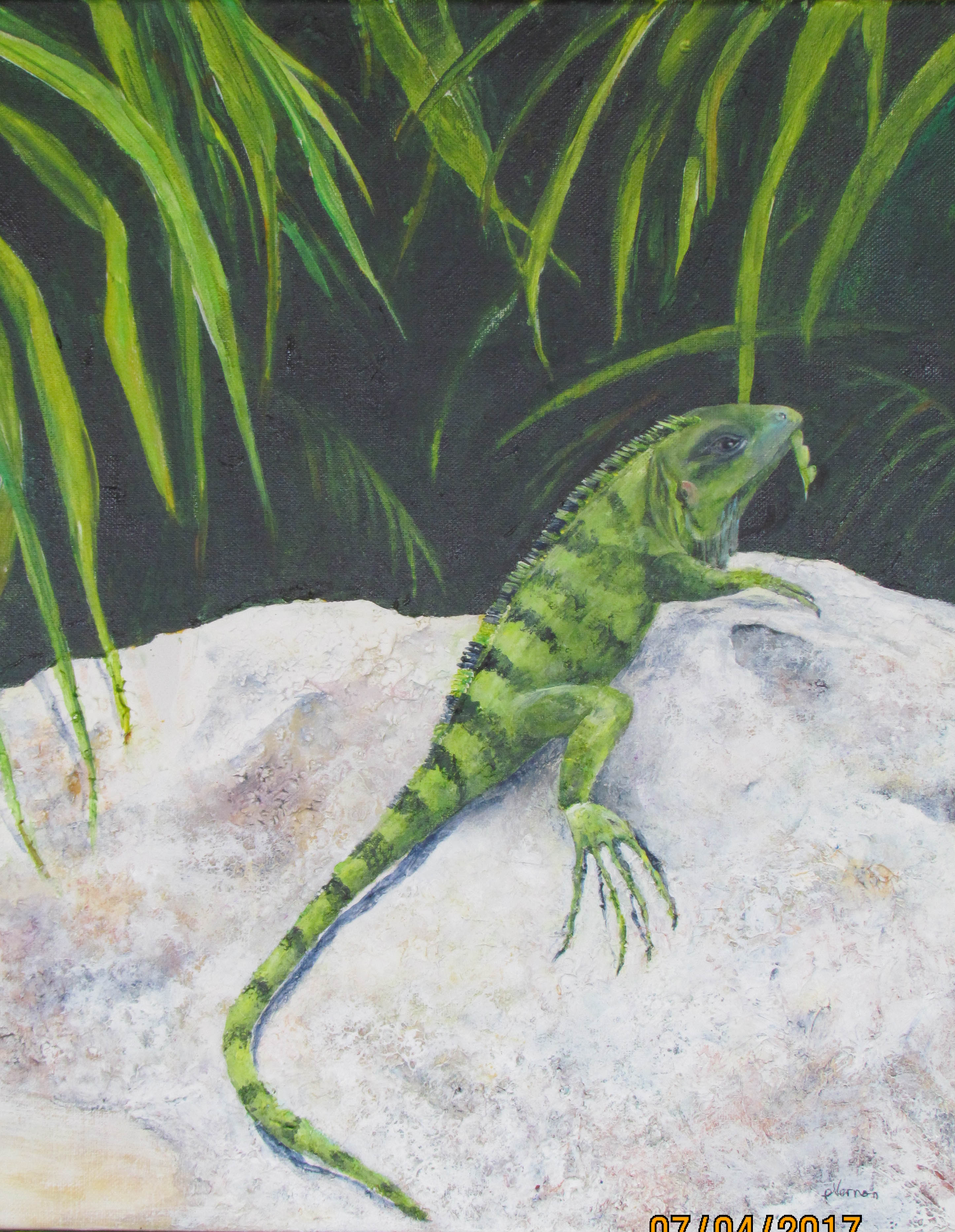 2892x3732 Iguana Phyllis Vernon Painting - Iguana Painting