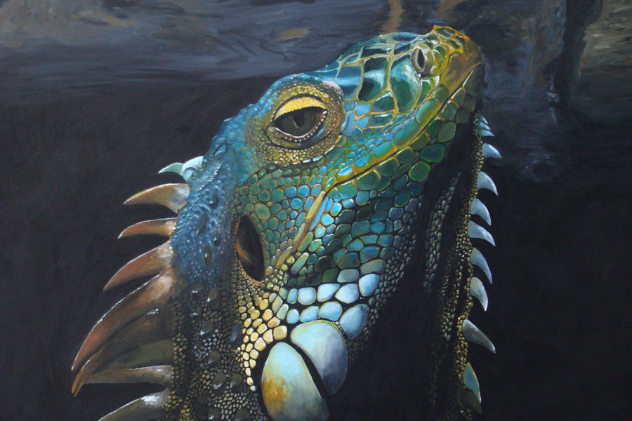 900x600 Iguana Painting By Kupo34 - Iguana Painting