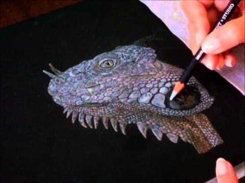 480x360 Painting The Iguana - Iguana Painting