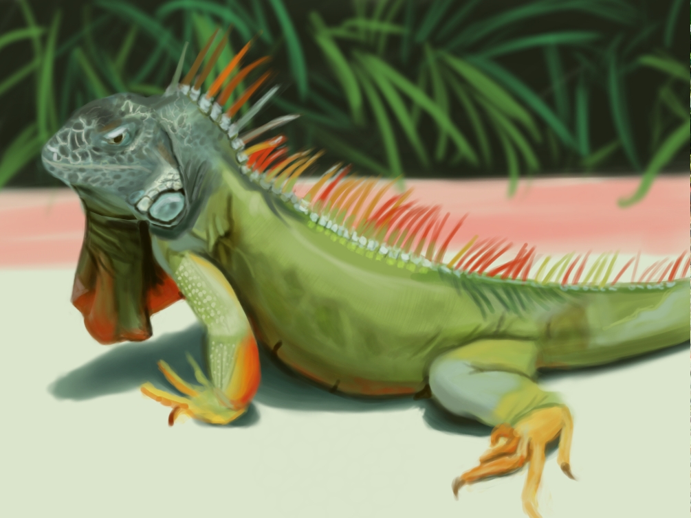 1005x754 Red Earth Art Iguana Study - Iguana Painting