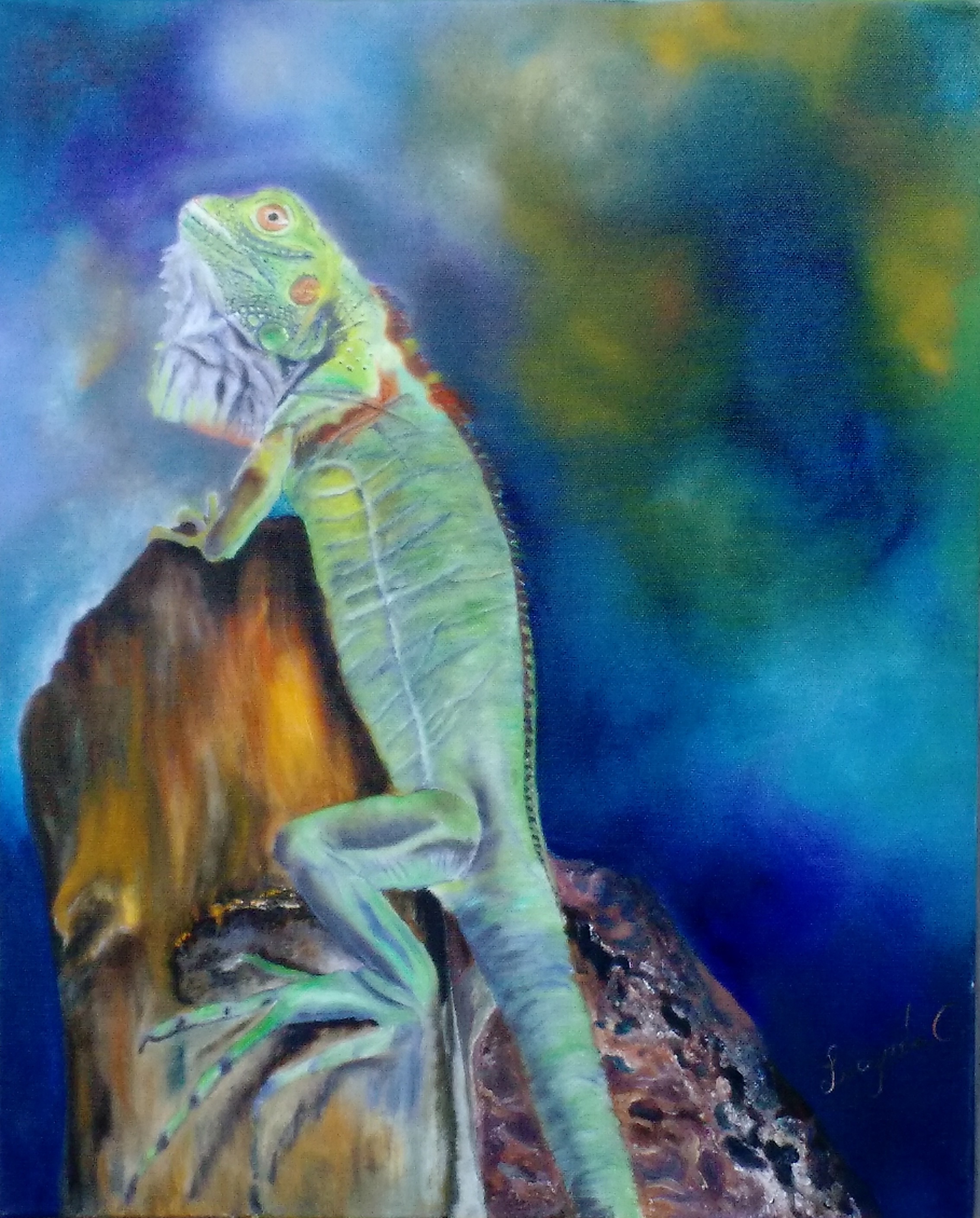 2267x2817 Steve The Iguana, Oil 16x20 - Iguana Painting