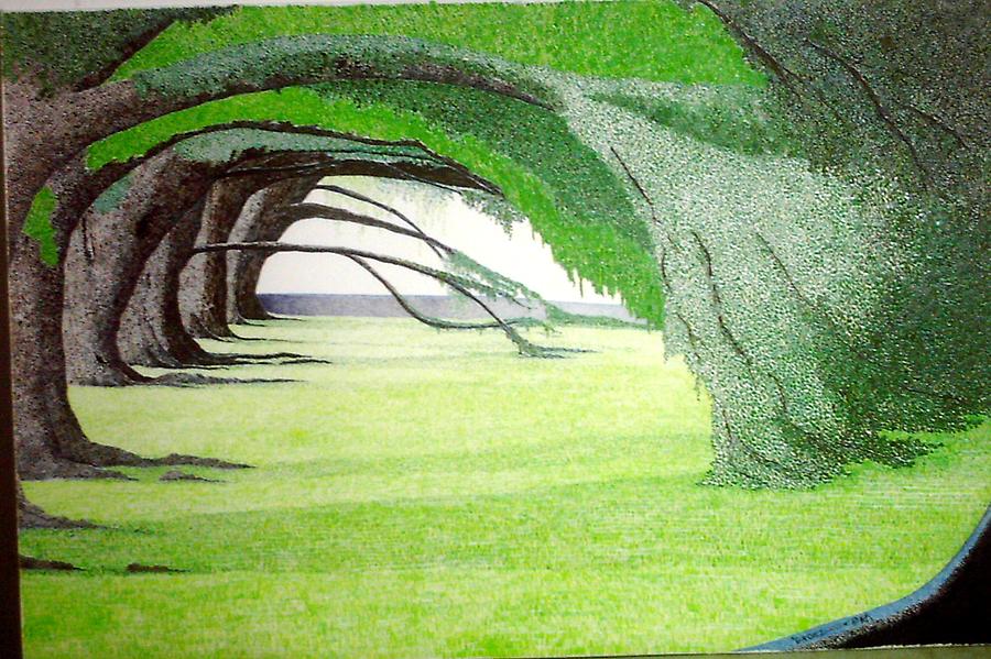 900x599 Grove Illusion Painting By A Robert Malcom - Illusion Painting