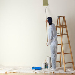 250x250 Wall Painting Service , Home Wall Painting In India - Image Works Painting