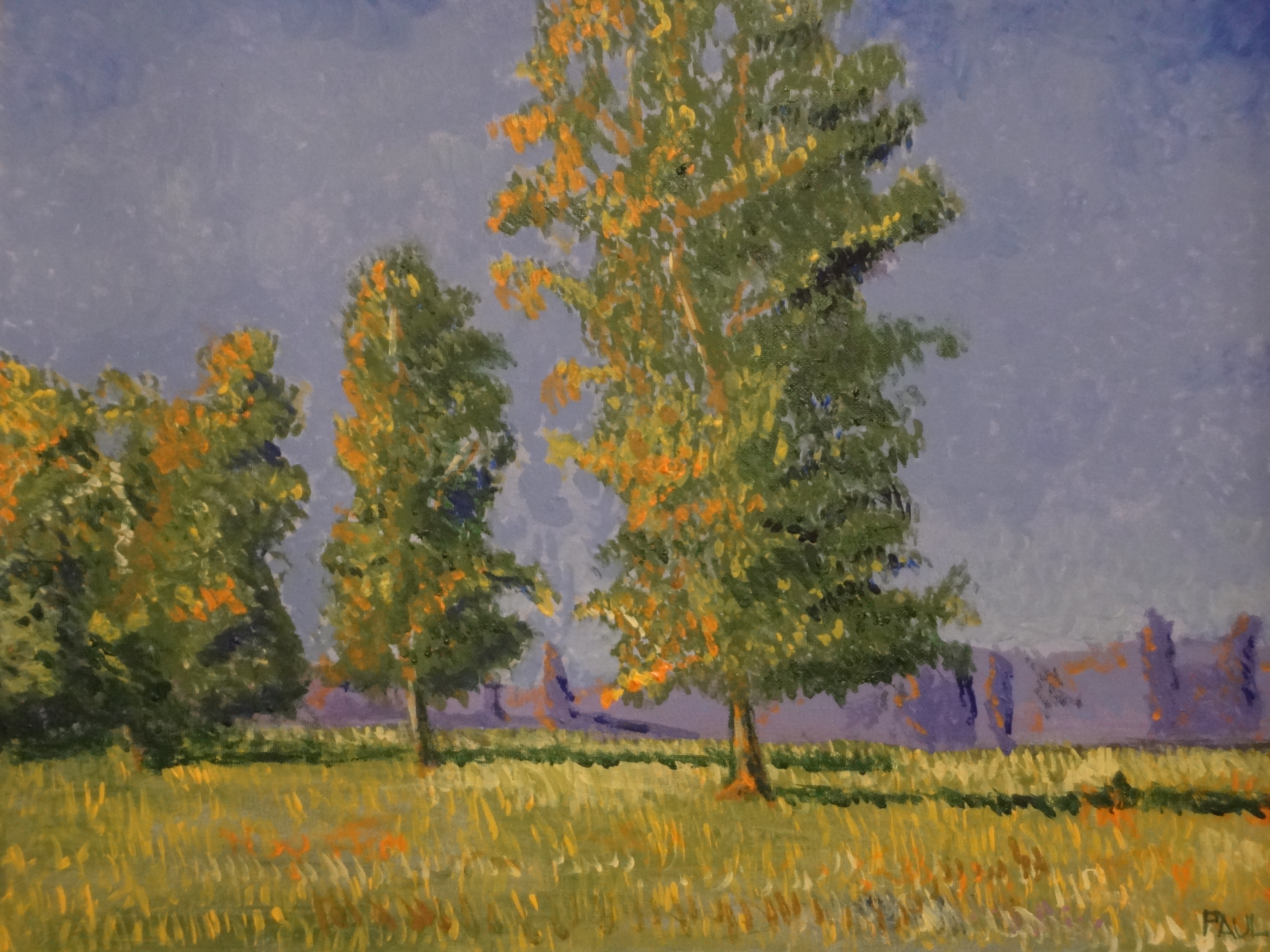 4608x3456 Trees In The Summer - Impressionist Tree Painting