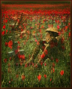 236x292 In Flanders Fields 100 Years Writing On War, Loss - In Flanders Fields Painting