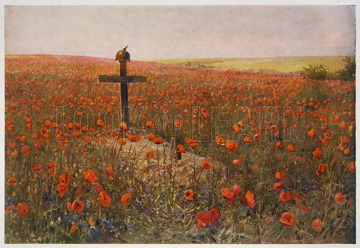 512x352 In Flanders Fields Today In History - In Flanders Fields Painting