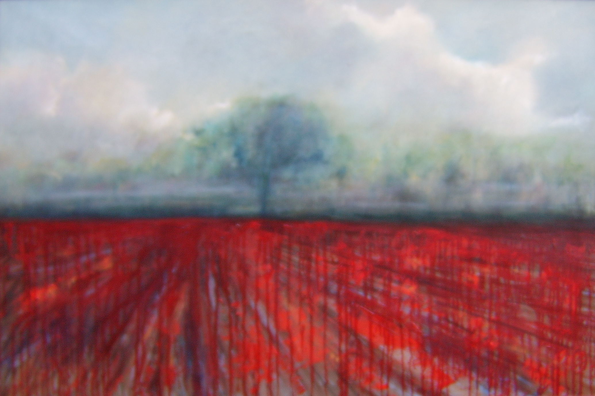 2070x1377 The Flowers Of Sacrifice Life As A Human - In Flanders Fields Painting