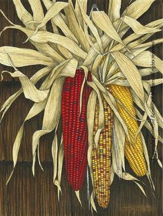 Indian Corn Painting