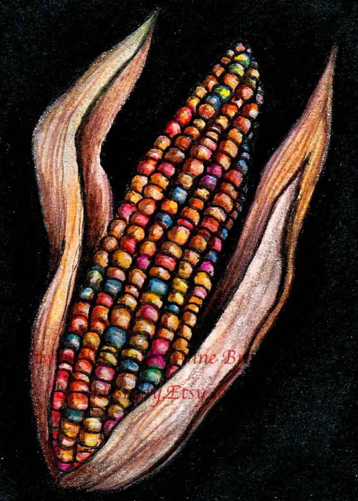 727x1018 Aceo Etsy Street Team Some New Colored Pencil Aceo'S - Indian Corn Painting