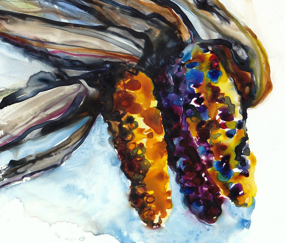 936x800 Jennifer Lawson Farmers Market Portland Maine - Indian Corn Painting