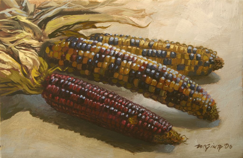 1024x667 Twice A Week Indian Corn Sold (Click Here To See Results On Ebay) - Indian Corn Painting
