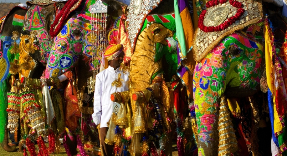917x500 Mahout And His Painted Elephants, Jaipur, India - Indian Elephant Painting