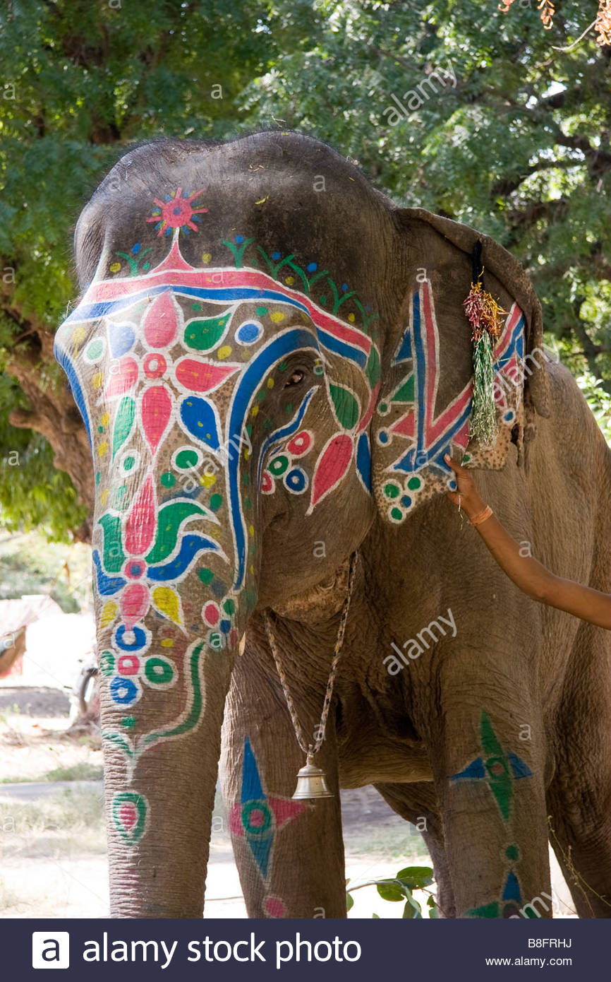 866x1390 Decorated Painted Elephant Ranakpur Rajasthan India Stock Photo - Indian Elephant Painting