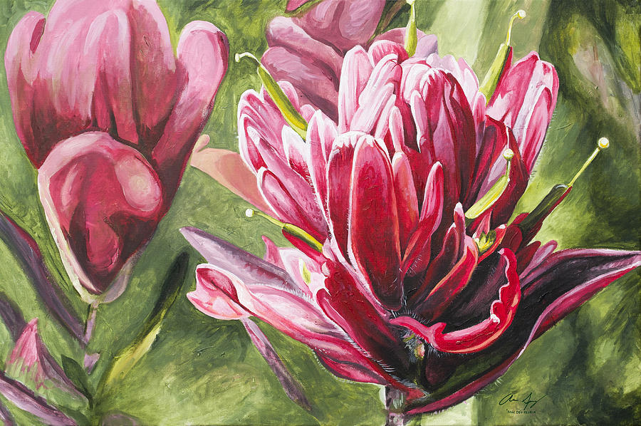 900x598 Indian Paintbrush Painting By Aaron Spong - Indian Paintbrush Painting