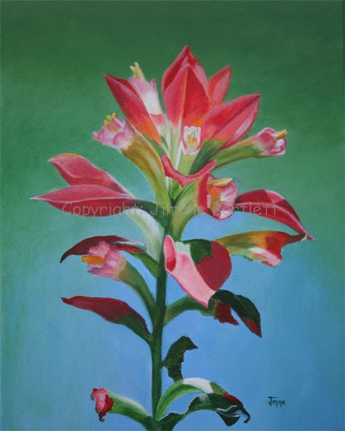 500x625 Jimmie's Art Indian Paintbrush Acrylic Painting - Indian Paintbrush Painting