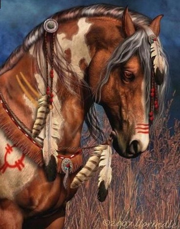 369x468 Painted Indian War Horse Photo - Indian War Horse Painting