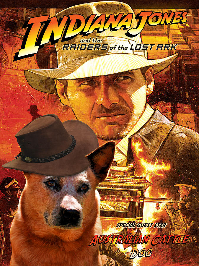 674x900 Australian Cattle Dog Art Canvas Print - Indiana Jones Painting