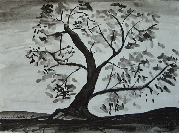 600x446 Tree Ink Wash Painting By Jamey Balester - Ink And Wash Painting