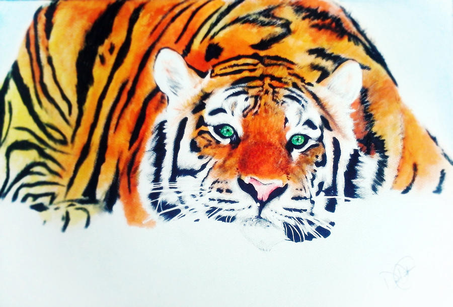 900x611 Tiger Ink Painting Painting By Desire Doecette - Ink Painting