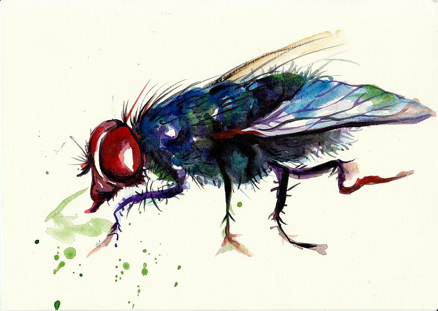 900x639 Green Fly Original Watercolor Painting By Tiberiu Soos - Insect Painting