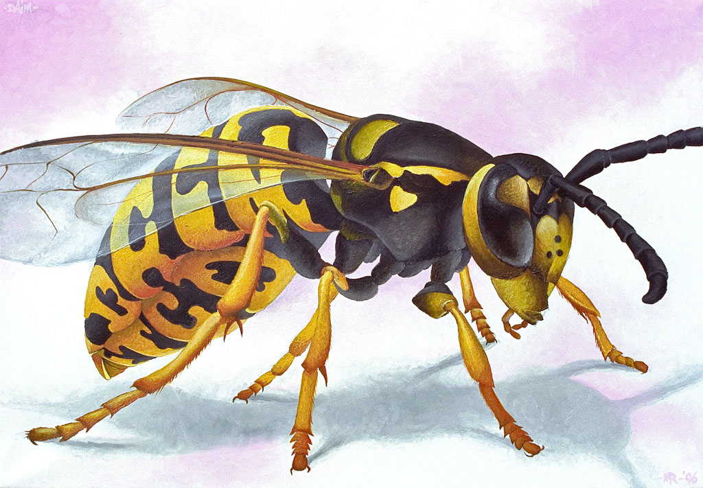 1024x711 Insect Week 2. Spray Painted Wasps By Diam Anjas' Theme Of The Week - Insect Painting