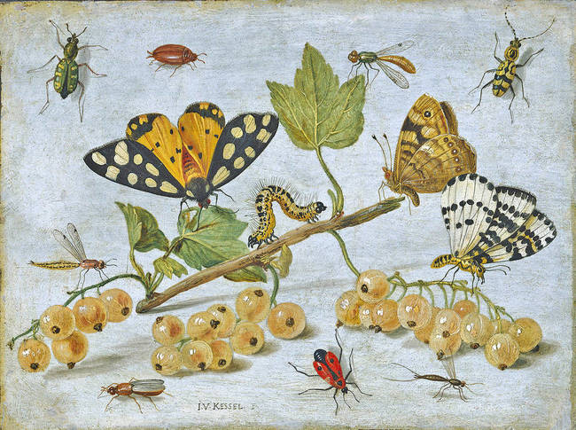 650x485 Vintage Insect Painting By Alleycatshirts @zazzle - Insect Painting
