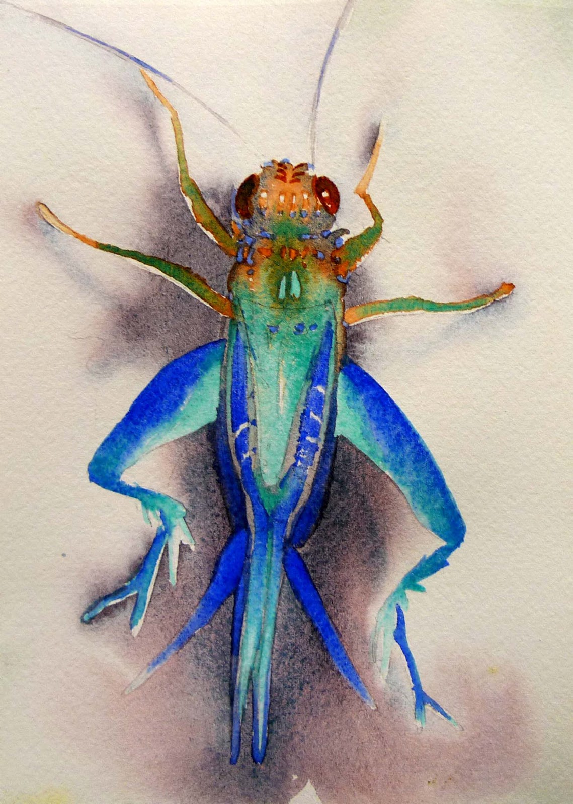 1139x1600 Paintings Insect O - Insect Painting