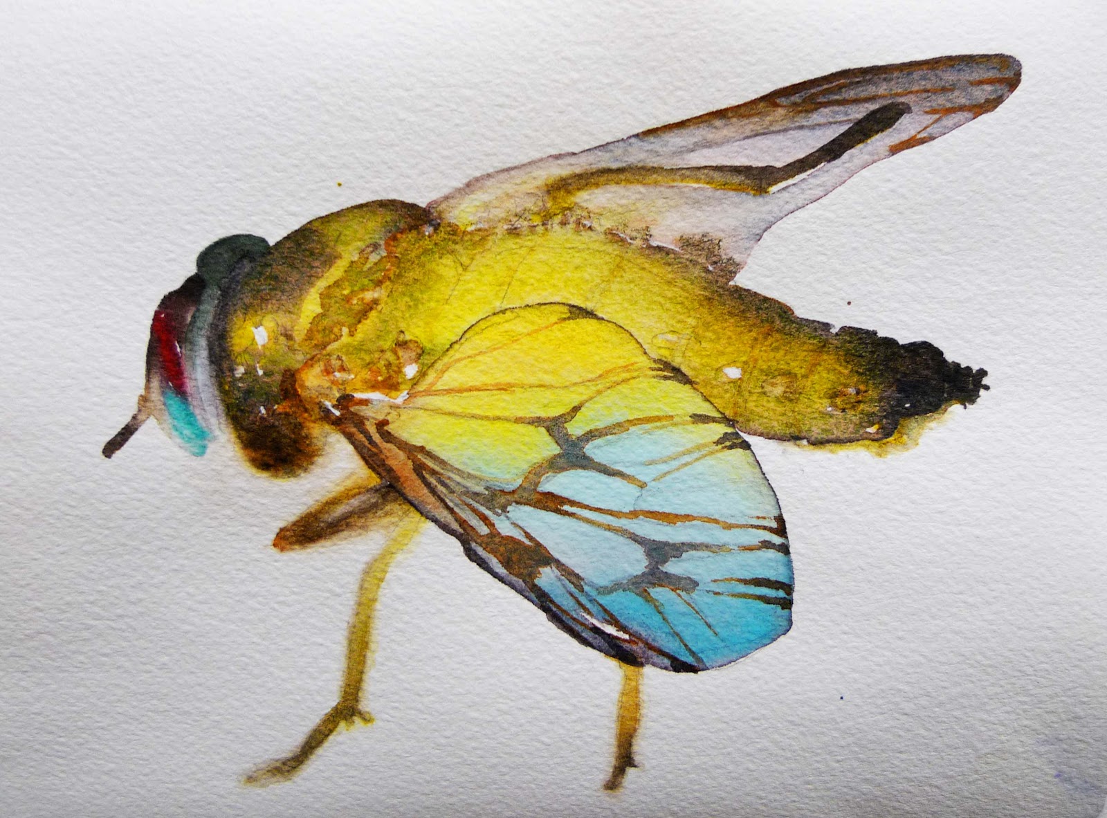 1600x1182 Paintings Insect Invasion! - Insect Painting