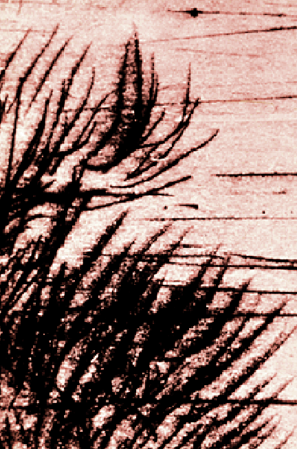 432x654 Printmaking Processes - Intaglio Painting