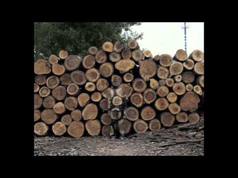 480x360 Liu Bolin - Invisible Man Painting