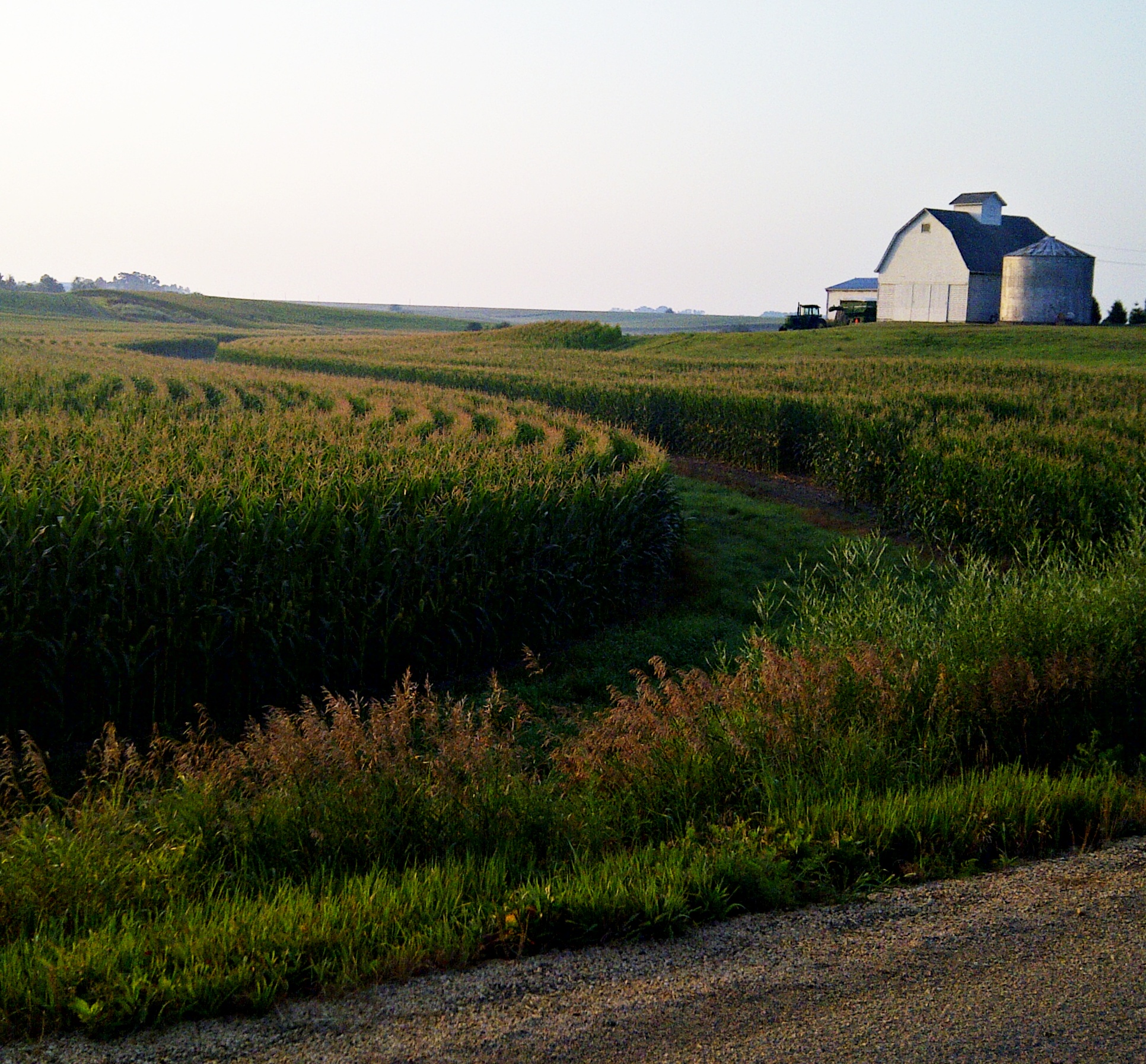 1932x1793 Eat. Paint. Iowa. From Small Things - Iowa Painting
