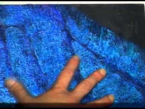 480x360 Iridescent Butterflies Simulated In Painting.mp4 - Iridescent Painting