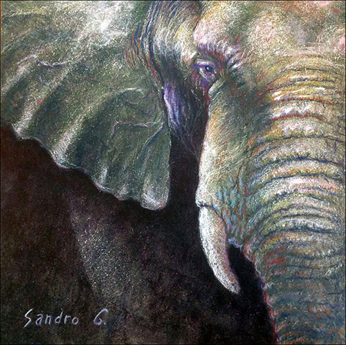 500x499 Sandro Giacomangeli Iridescent Acrylic Wildlife Paintings - Iridescent Painting