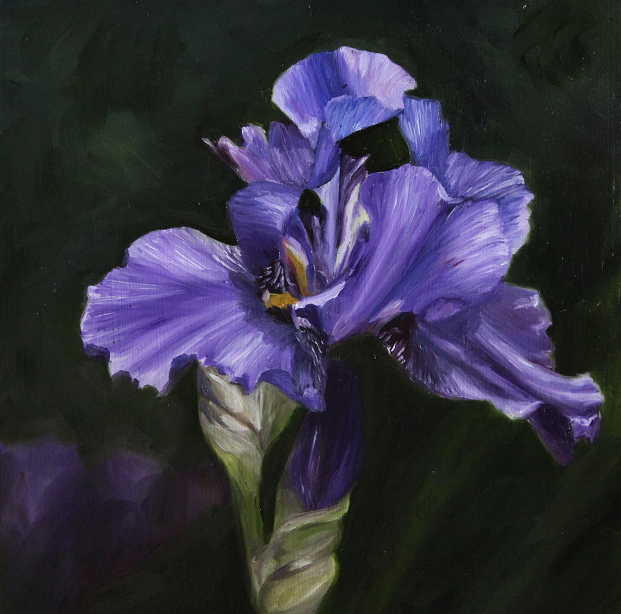 Iris Oil Painting at PaintingValley.com | Explore collection of Iris ...