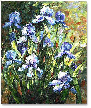 385x457 Julia Swartz Fine Art Gallery Blue Iris - Iris Oil Painting
