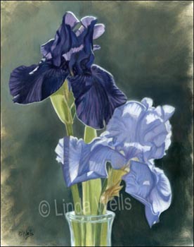 276x350 Linda Wells Oil Paintings Landscapes Amp More - Iris Oil Painting