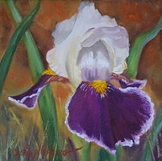 320x318 Oklahoma Daily Painters Purple And White Iris Oil Painting - Iris Oil Painting