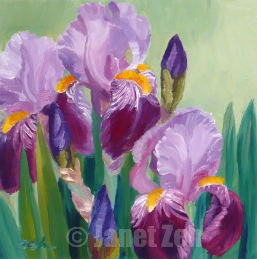 500x505 Zeh Original Art Blog Watercolor And Oil Paintings Purple Irises - Iris Oil Painting