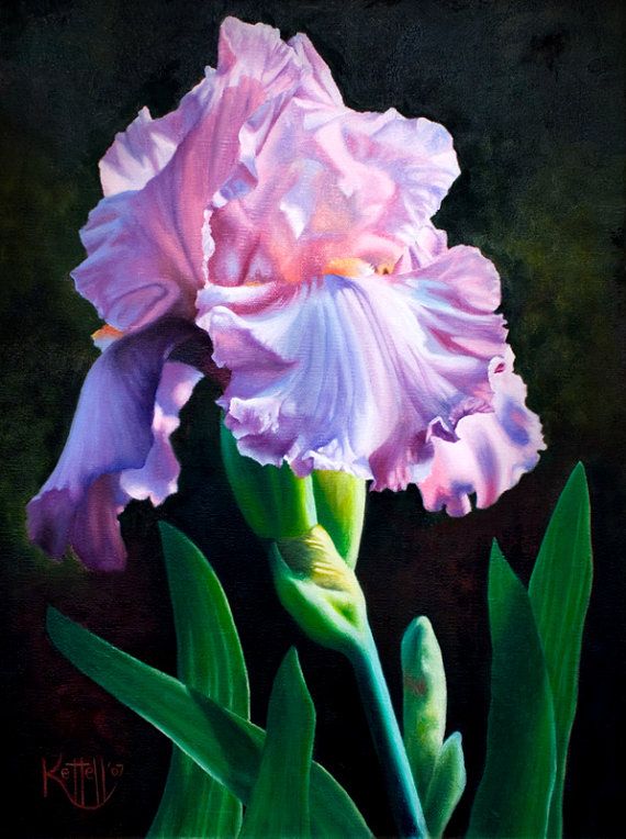 570x764 Iris Flower Giclee Reproduction Art Print On By Gracepennington - Iris Painting