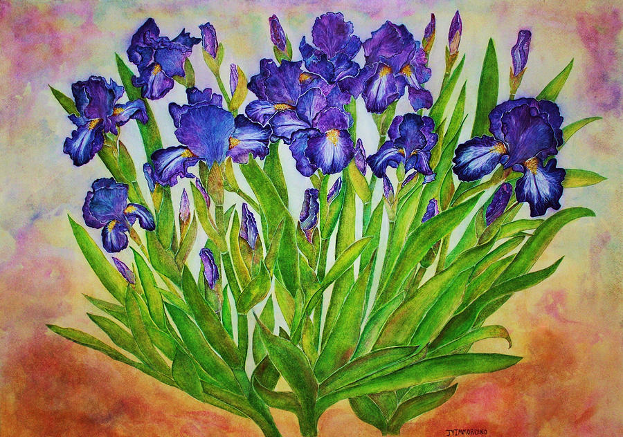 900x632 Irises Painting By Janet Immordino - Iris Painting