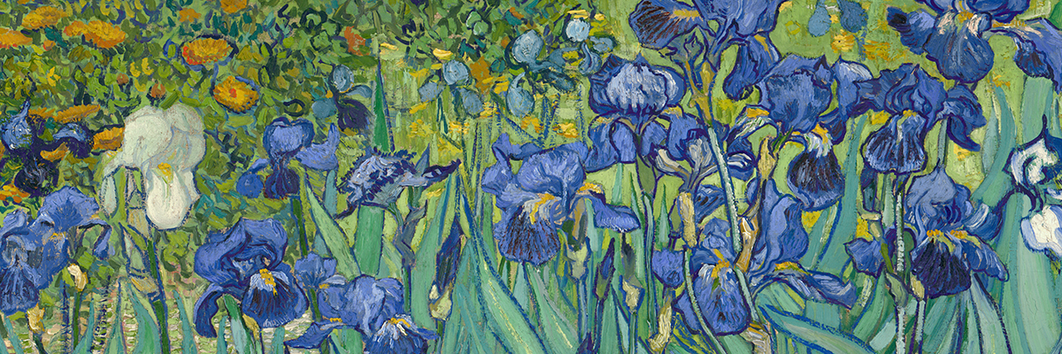 1200x400 Irises Van Gogh Gallery - Irises Painting